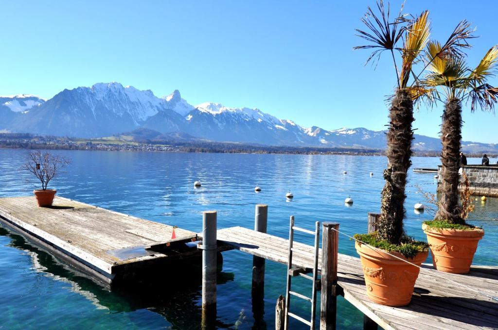 Hotel Restaurant Bellevue Au Lac Thun Exterior photo